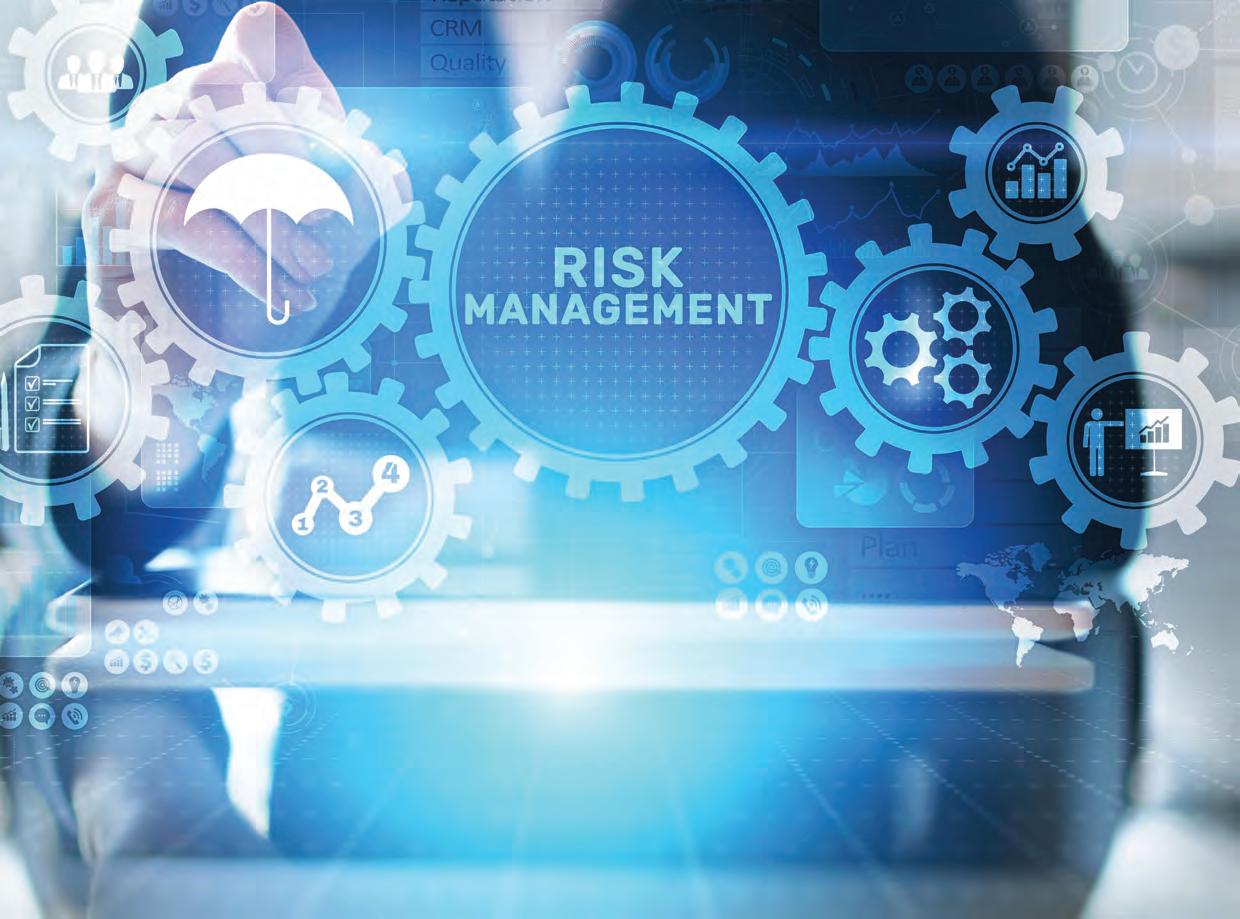 risk management