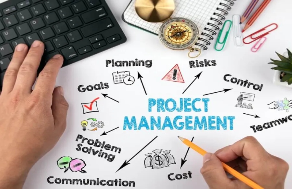 Project Manager Roles