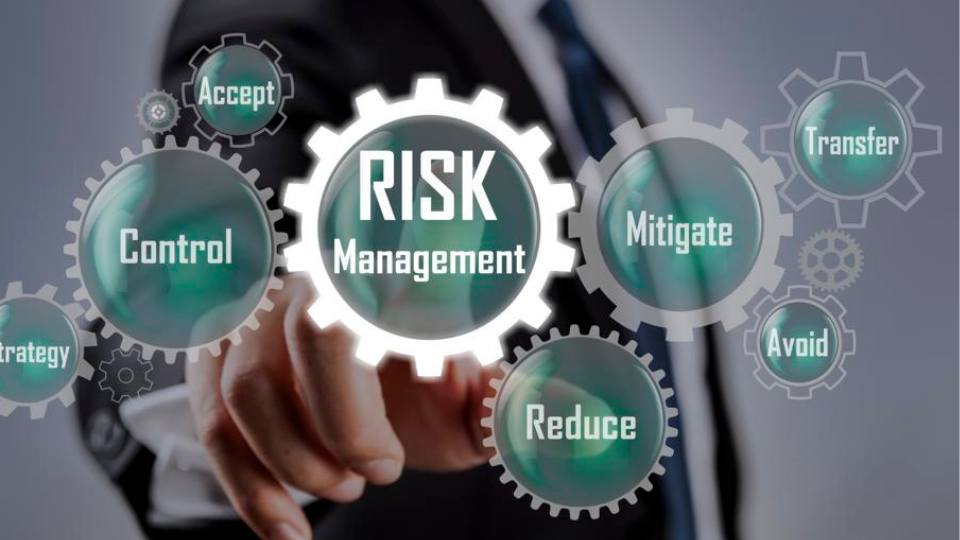 SAP Risk Management