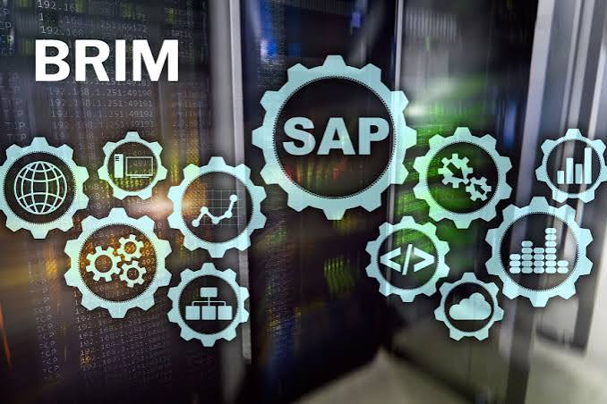 SAP BRIM Career