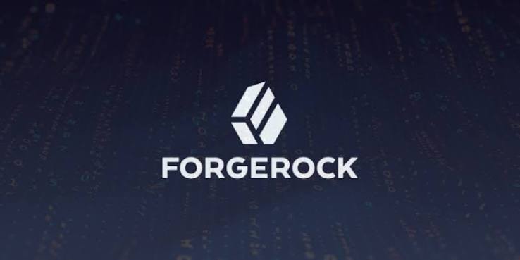 ForgeRock Developer Analyst