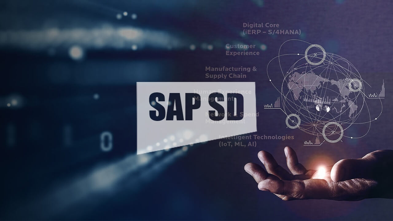 SAP SD (Sales & Distribution)