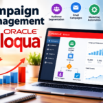 Campaign Management Eloqua